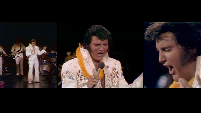 Simulation of 2013 ALOHA FROM HAWAII: 40TH ANNIVERSARY EDITION image on a modern 16:9 widescreen television Simulation of 2013 ALOHA FROM HAWAII: 40TH ANNIVERSARY EDITION image on a modern 16:9 widescreen television
