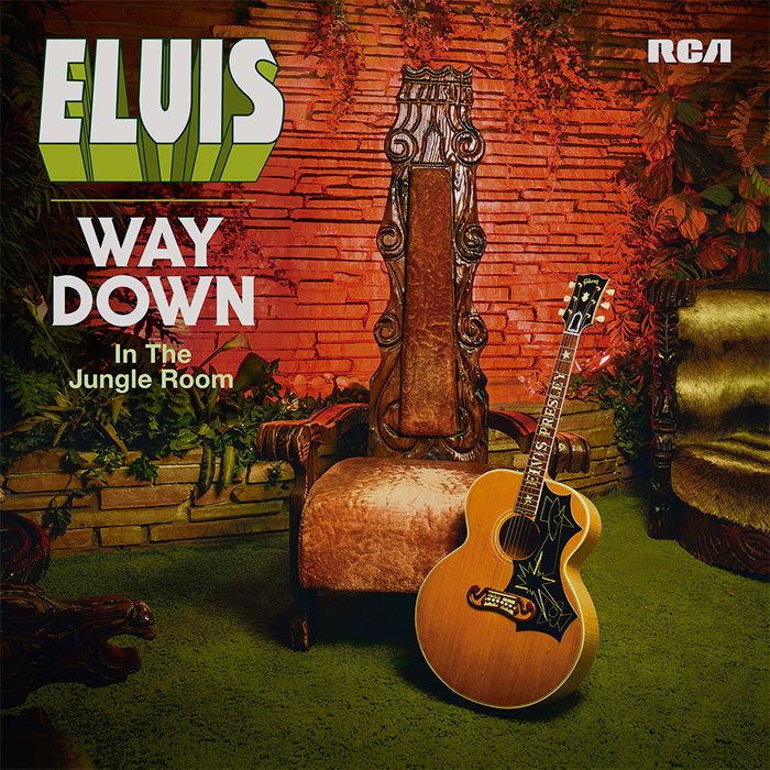 Cover of WAY DOWN IN THE JUNGLE ROOM (2016, Sony)