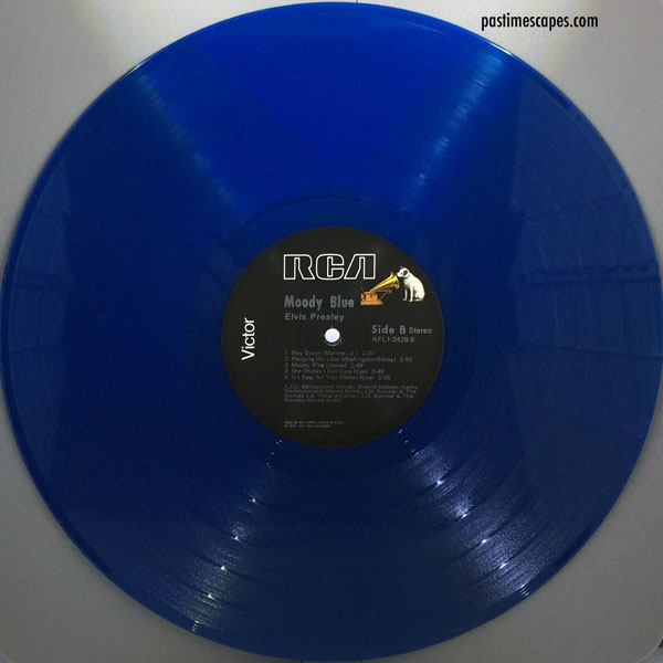 "The Blue Album" [Photo by the author]