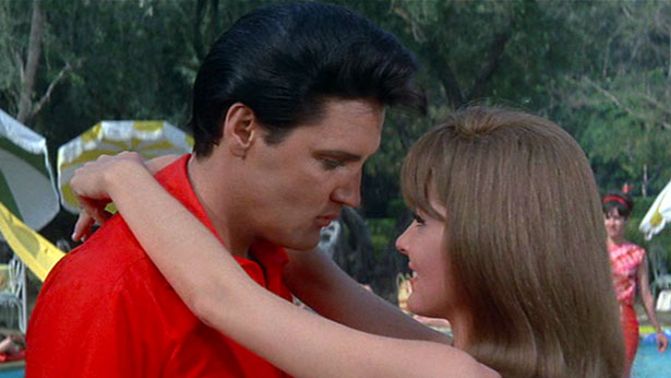 Elvis Presley is Mike McCoy and Shelley Fabares is Cynthia Foxhugh in 1966's SPINOUT (MGM)
